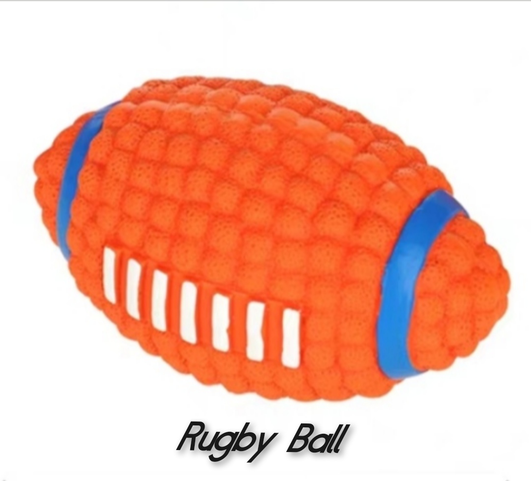 rugby (1)