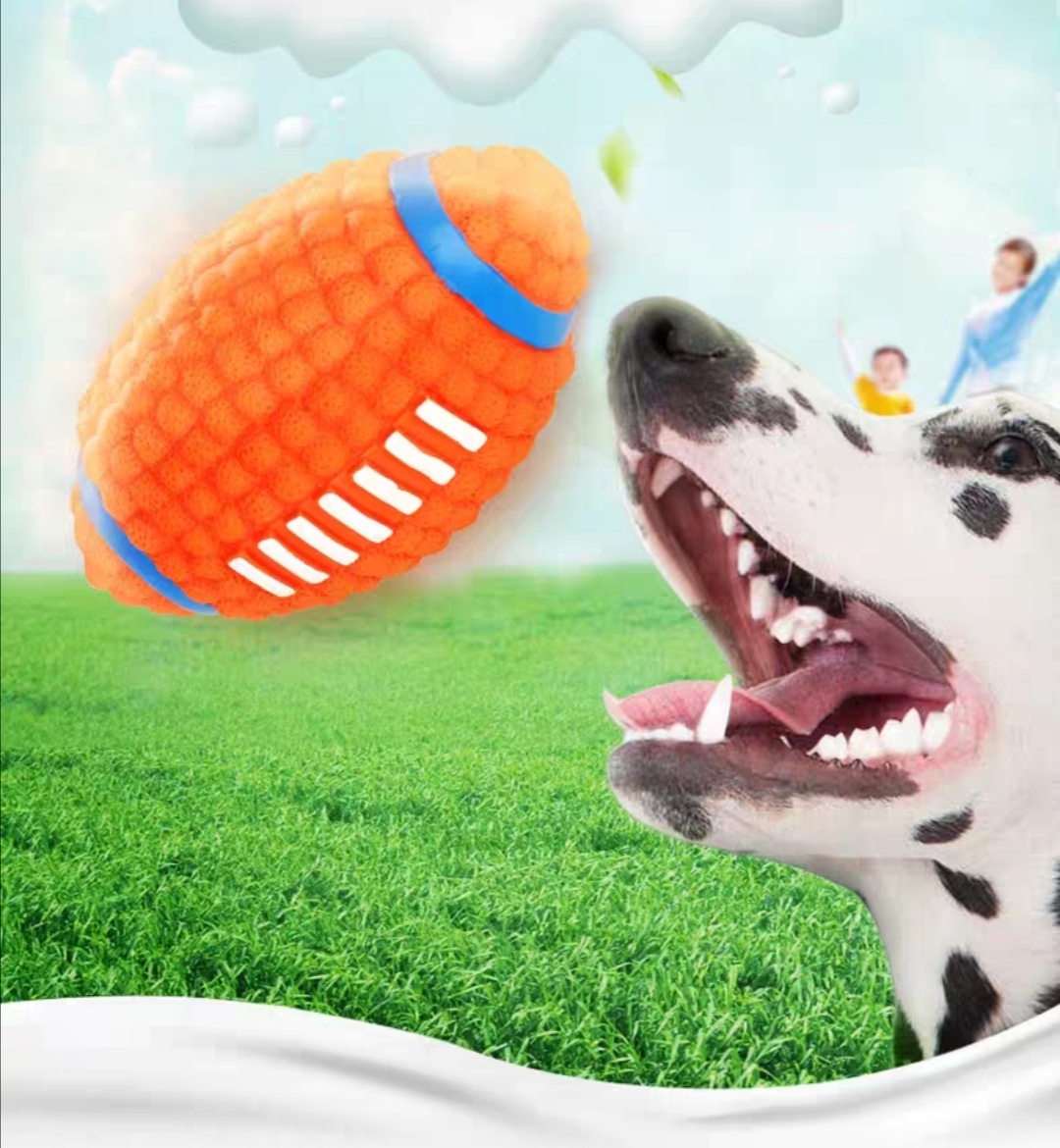 rugby (3)